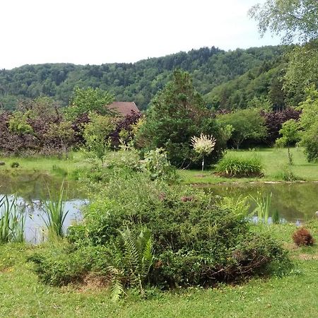 Pied Des Milles Etang - Les Capucins Bed and Breakfast Faucogney-et-la-Mer Εξωτερικό φωτογραφία